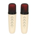 Karaoke reproduktor USB Bluetooth cream – Obrázok 6