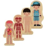 Drevené vrstvené puzzle montessori body building chlapec – Obrázok 7