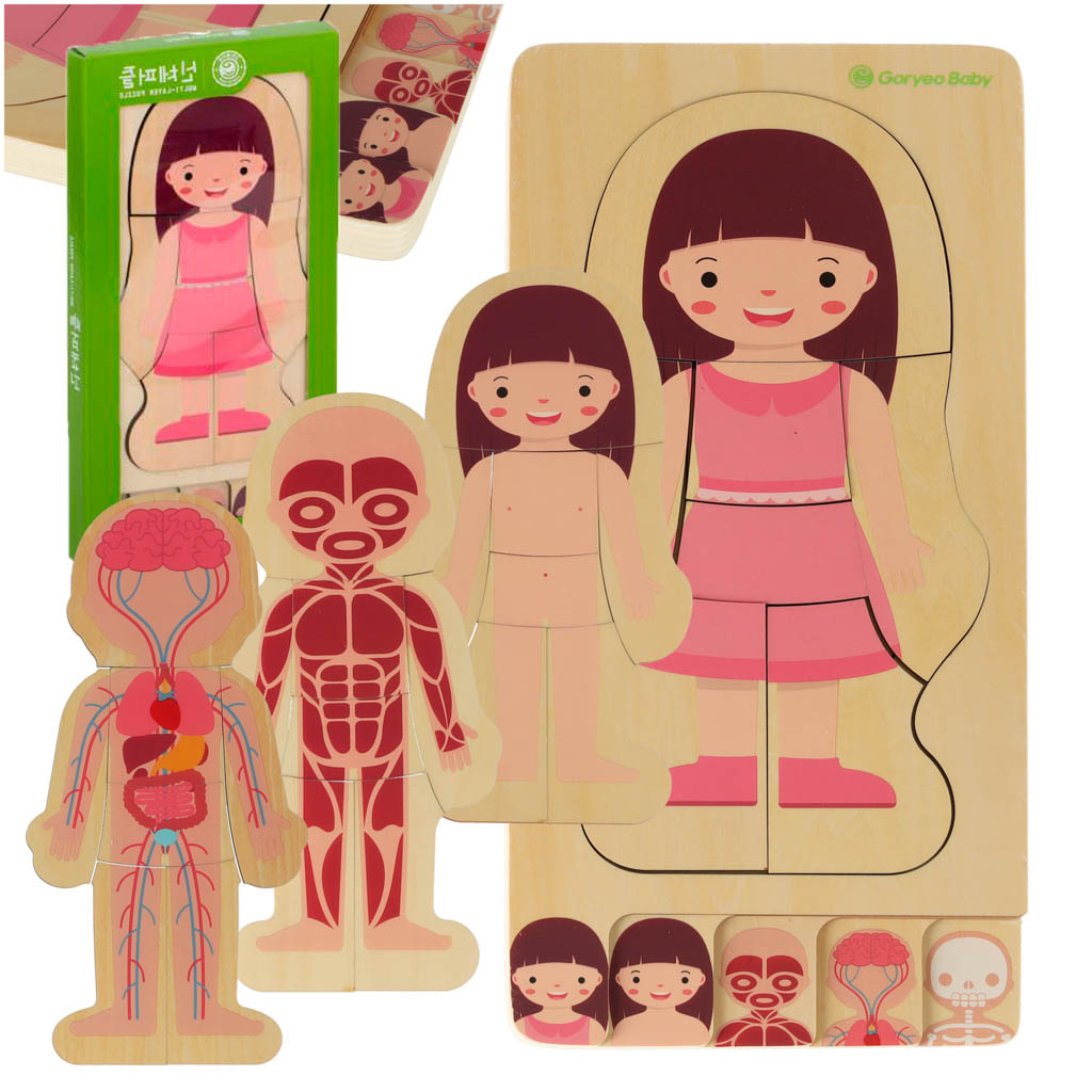 Puzzle-drewniane-warstwowe-budowa-ciala-montessori-dziewczynka-149414 Drevené vrstvené puzzle body building montessori dievča – Obrázok 1