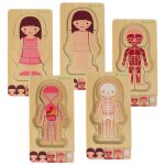 Drevené vrstvené puzzle body building montessori dievča – Obrázok 5