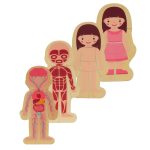 Drevené vrstvené puzzle body building montessori dievča – Obrázok 7